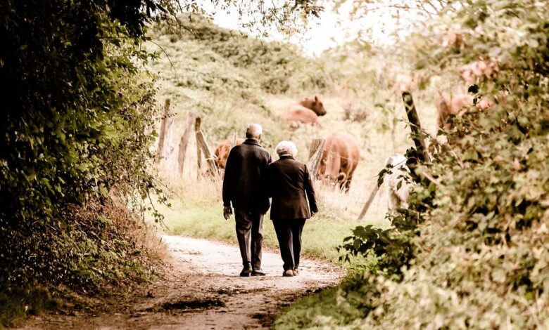 elderly, couple, walking, trail, countryside, rural, retired, leisure, path, elderly, elderly, elderly, elderly, couple, couple, couple, couple, couple, walking, walking, walking, walking