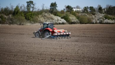 farmer, sowing, field, agriculture, seed, life, mother earth, sowing, sowing, sowing, sowing, sowing, mother earth