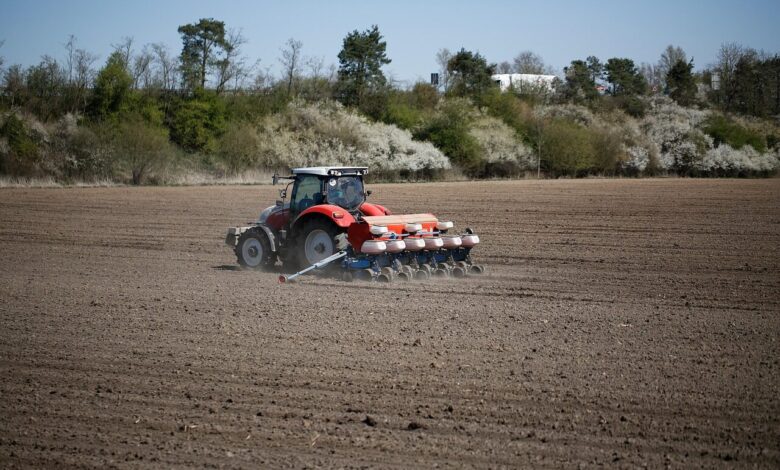 farmer, sowing, field, agriculture, seed, life, mother earth, sowing, sowing, sowing, sowing, sowing, mother earth