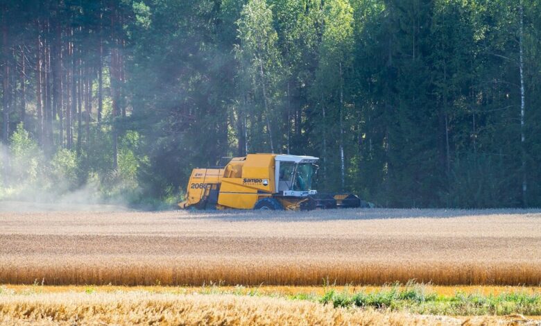 threshing, combine harvester, agricultural, cereal field, cultivation, in a wheat field, character, landscape, finland