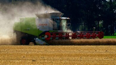 A combine harvester works in a dusty field, harvesting crops