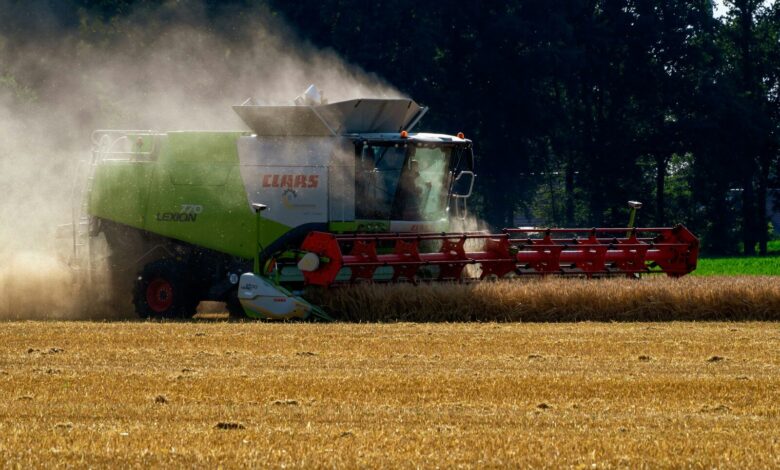 A combine harvester works in a dusty field, harvesting crops