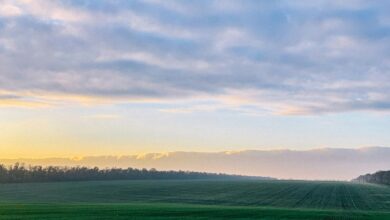 green grass field under cloudy sky during daytime