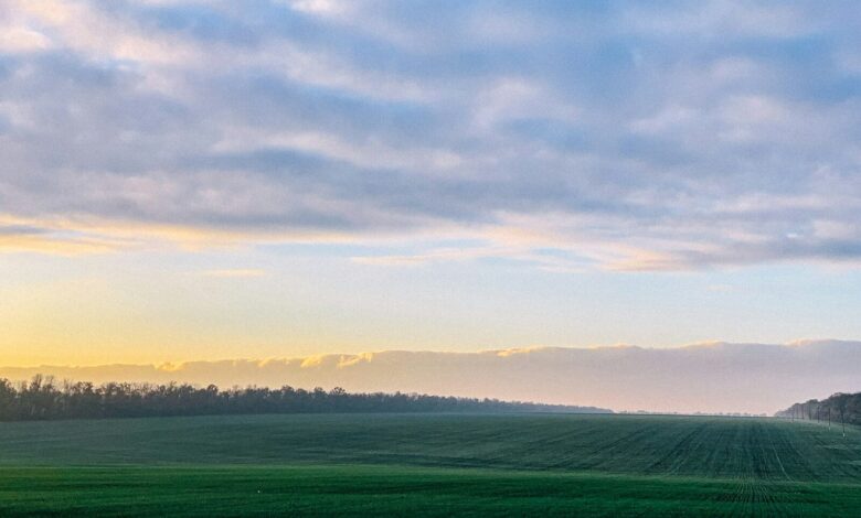 green grass field under cloudy sky during daytime